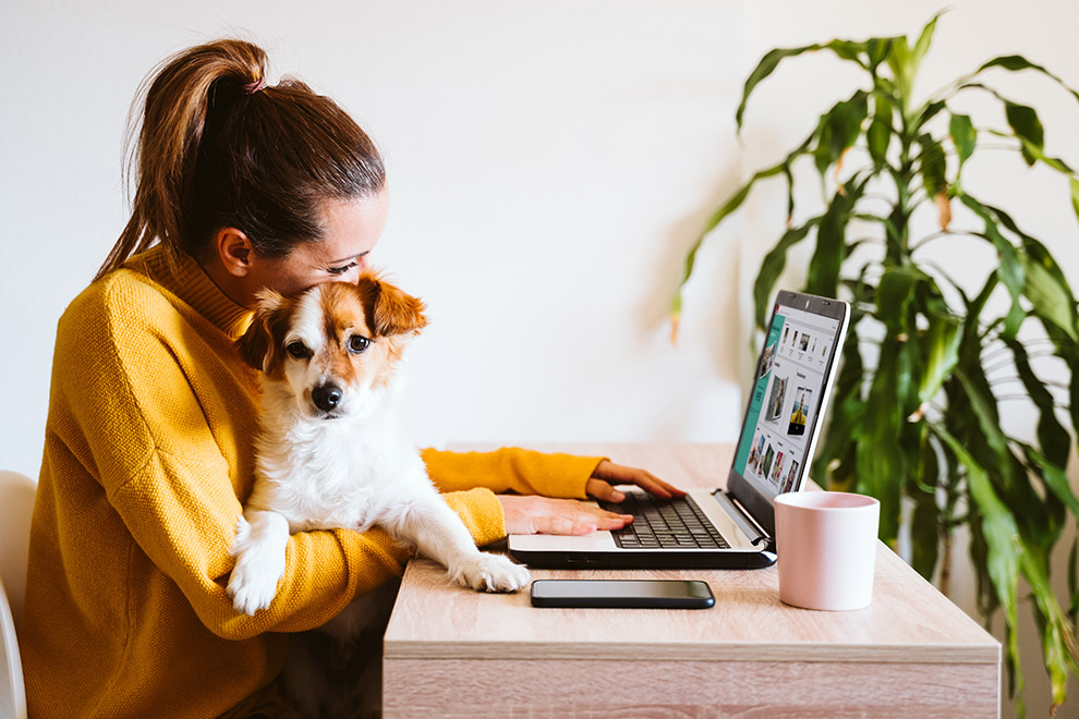Näppäriä vinkkejä Designer-ohjelman käyttöön PC:llä Näppäriä vinkkejä Designer-ohjelman käyttöön PC:llä