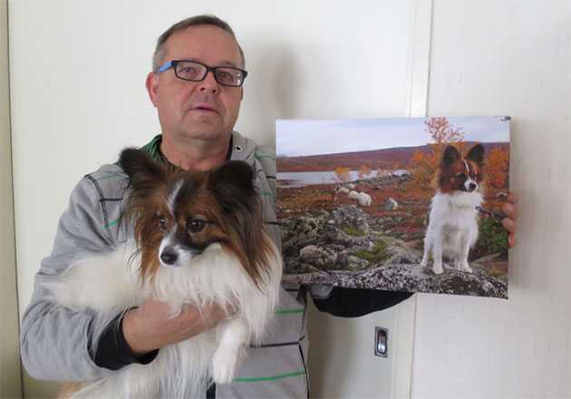 Heimo Lamberg koirataulun kanssa Heimo Lamberg koirataulun kanssa