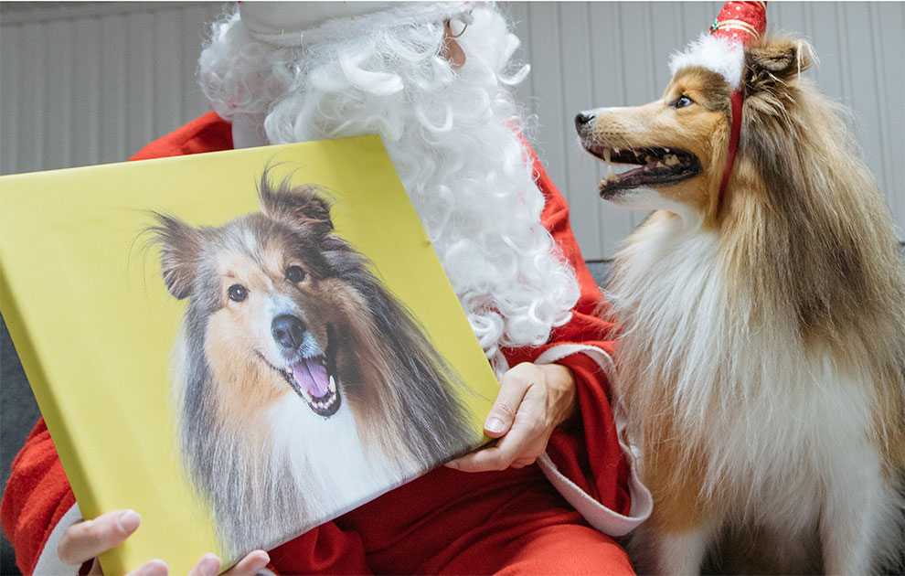 Canvas-taulu lemmikistä joululahjaksi Canvas-taulu lemmikistä joululahjaksi