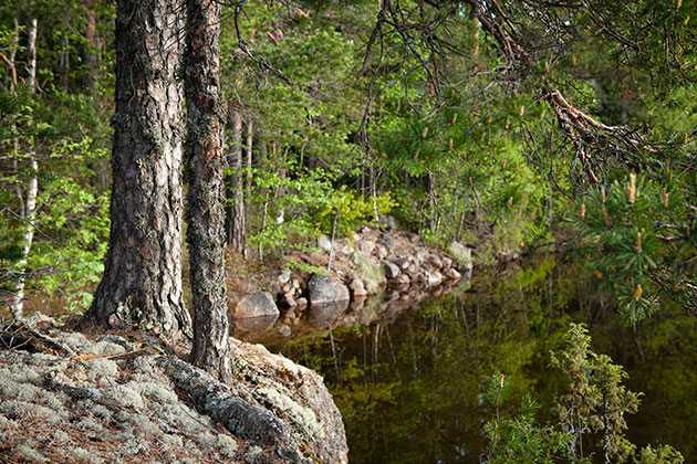 Maisemakuvaus Maisemakuvaus