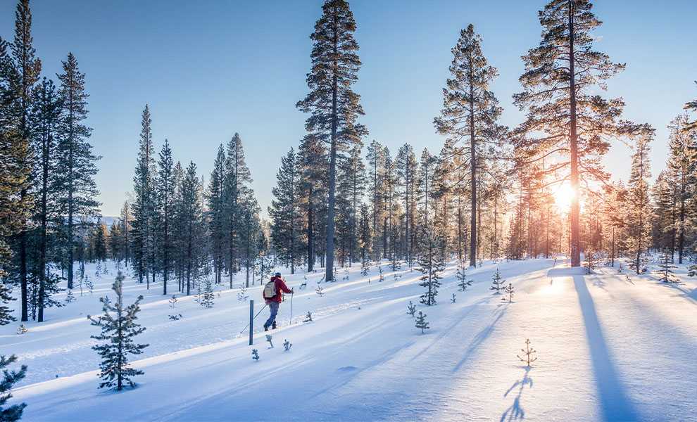 Vastavaloon kuvaaminen Vastavaloon kuvaaminen