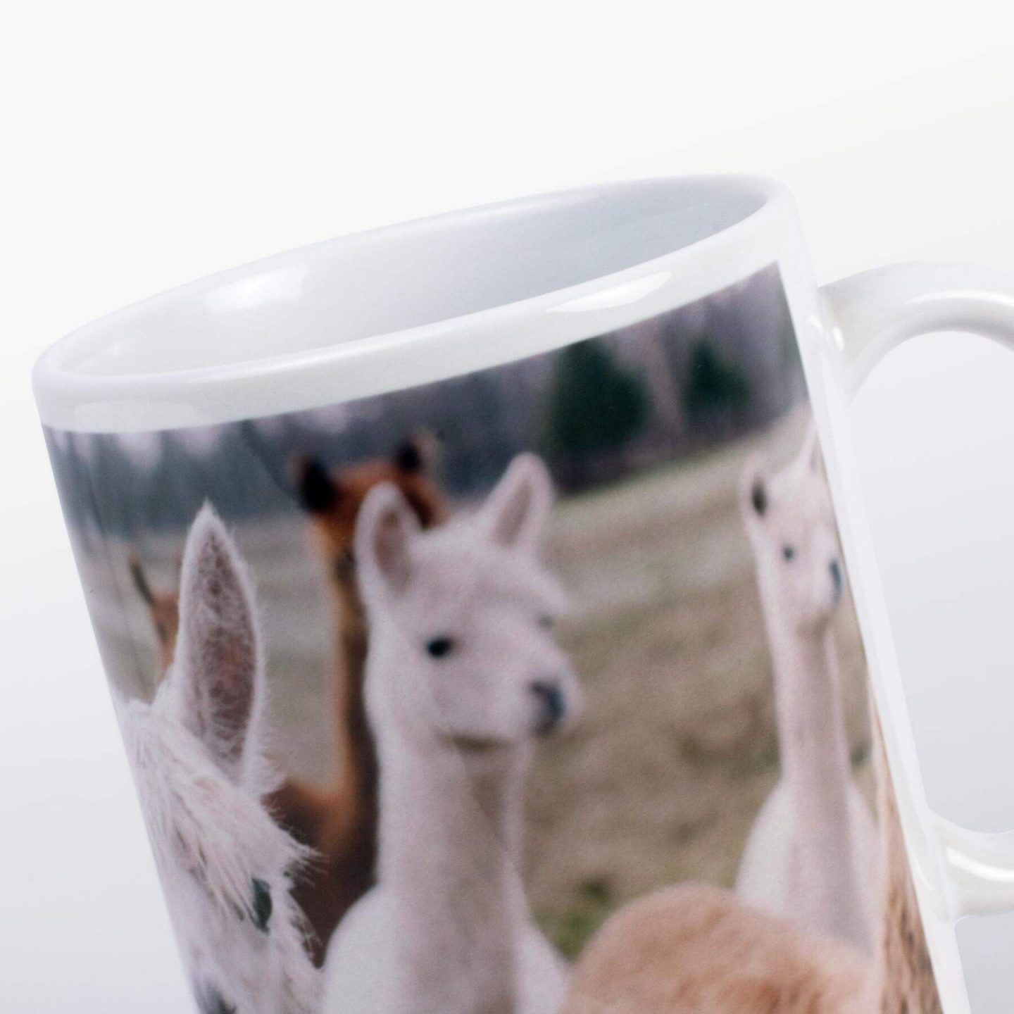 Web_PDP_Detail4_Mug.jpg